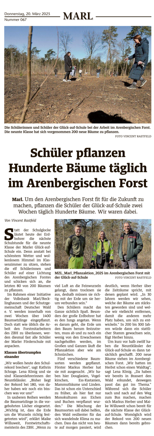 Bäume pflanzen im Arenbergischen Forst