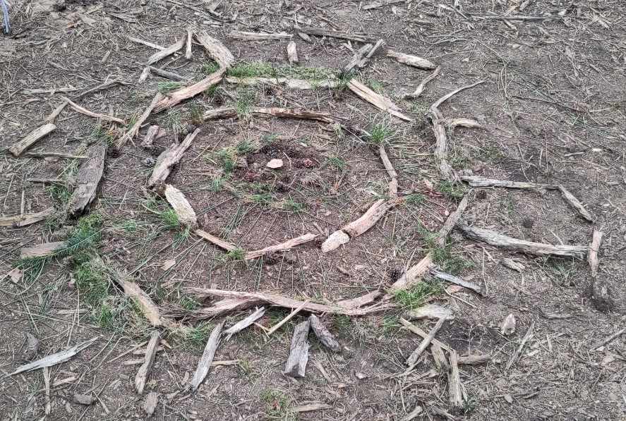 Waldmandala