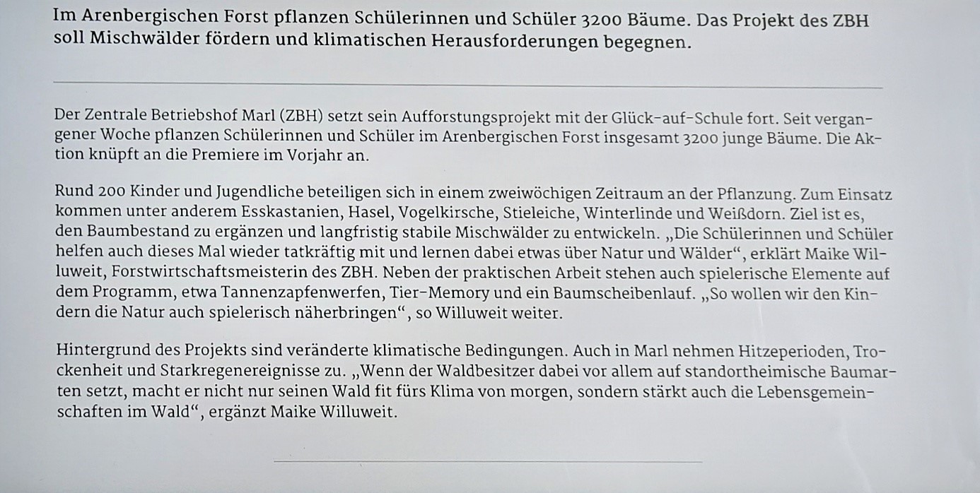 Zeitungsartikel zur Baumpflanzaktion