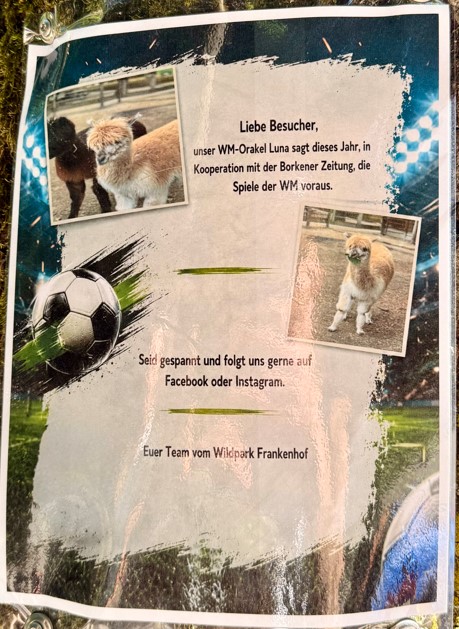 Fußballorakel