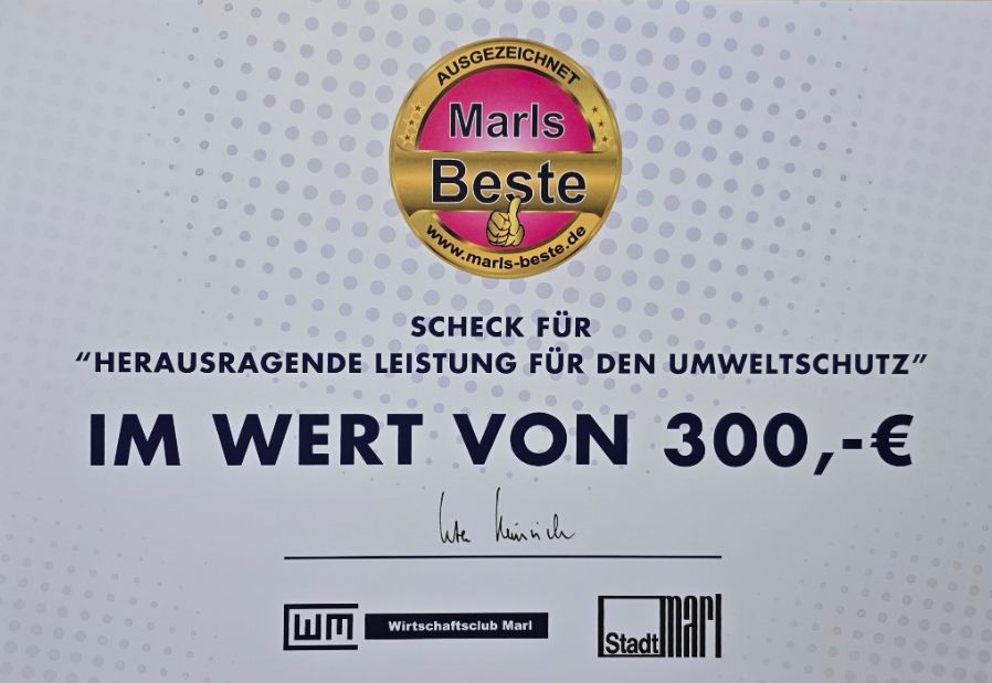 Scheck